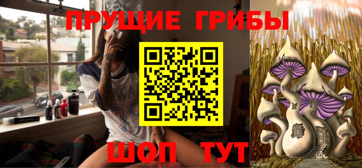 Галлюциногенные грибы GOLDEN TEACHER  Вход с VPN  Кимры 