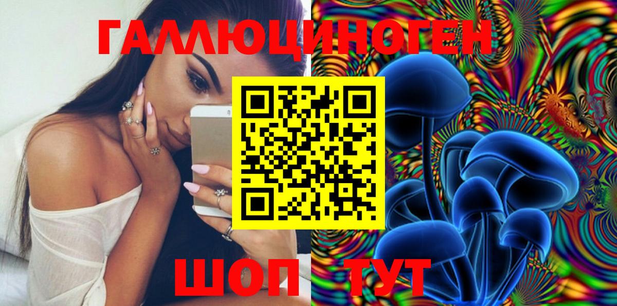 Псилоцибиновые грибы Psilocybe Кимры